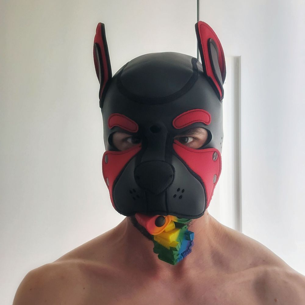 Pup H - the happy pup's avatar