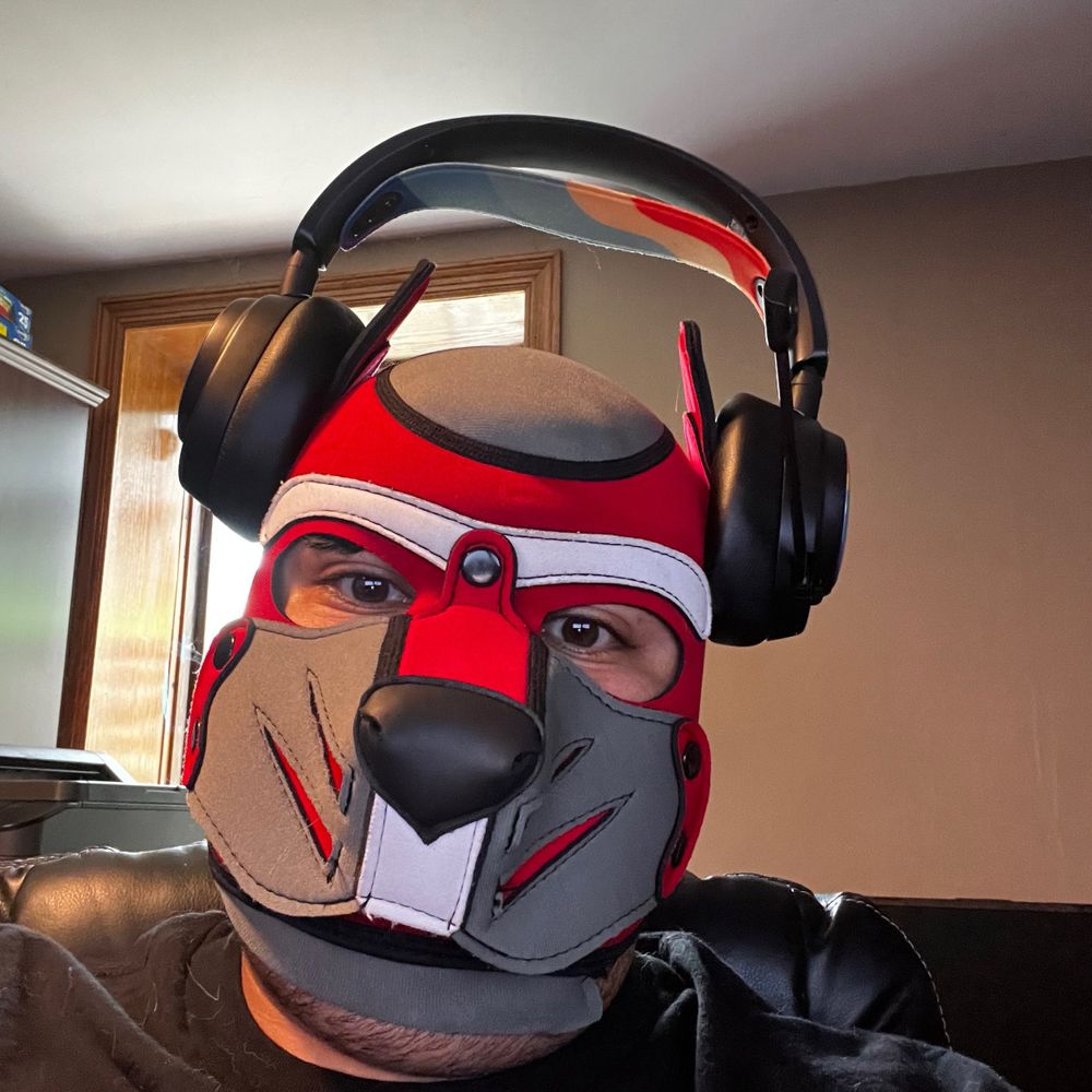 HunterTheHusky