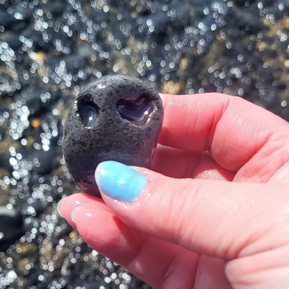ellee the rock finding fool