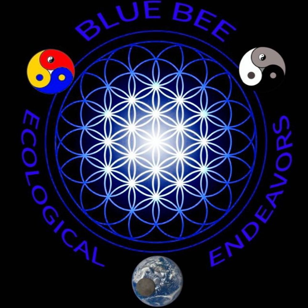Blue Bee Ecological Endeavors inc BBEE