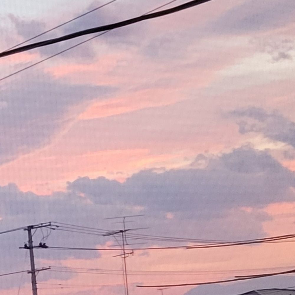 燈咲
