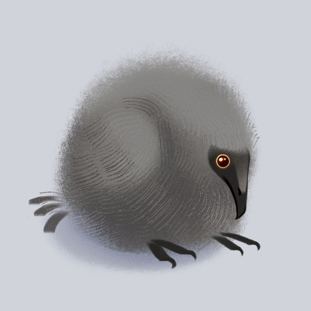 Quails