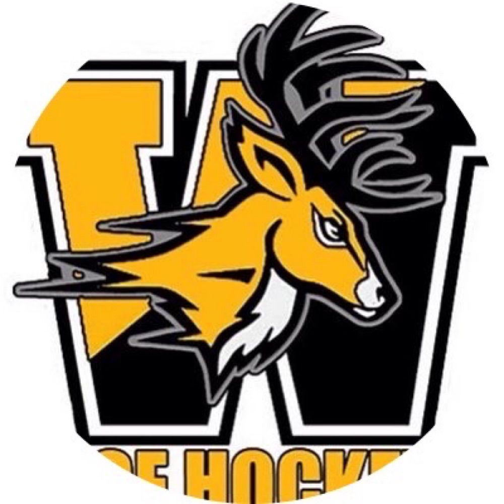 CB West Ice Hockey