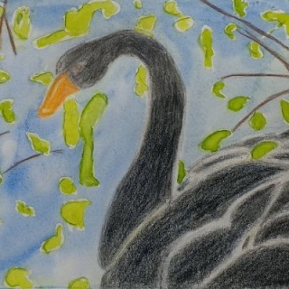 Rabenschwan