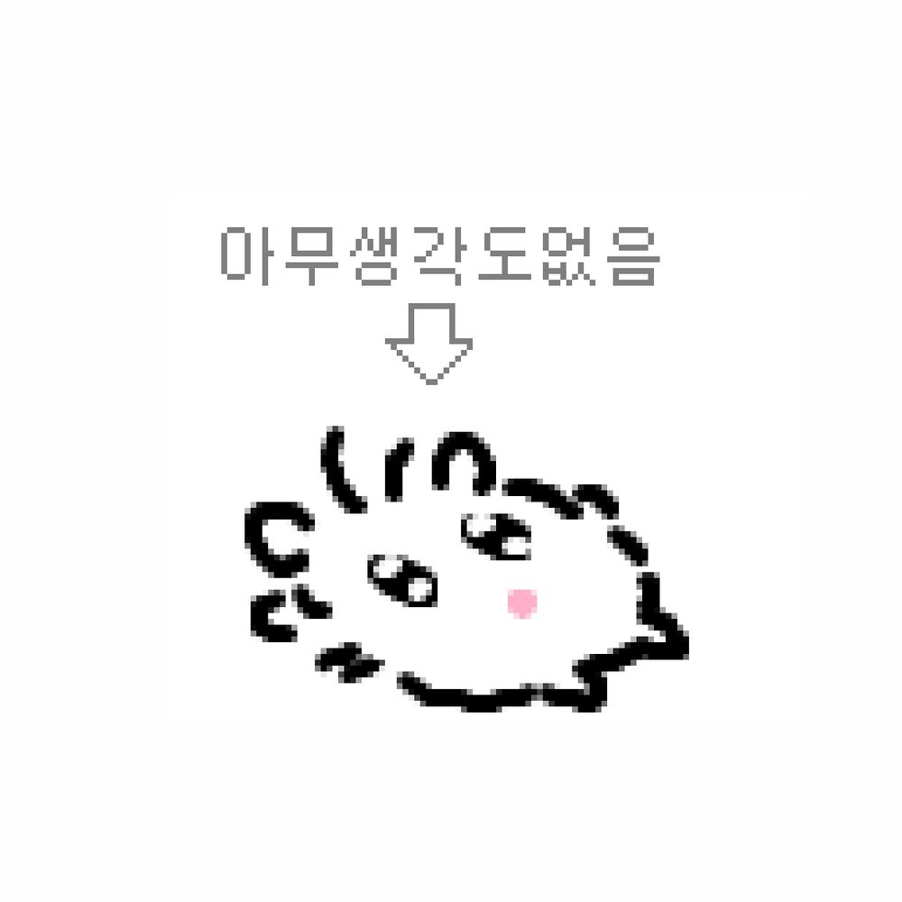 현콩