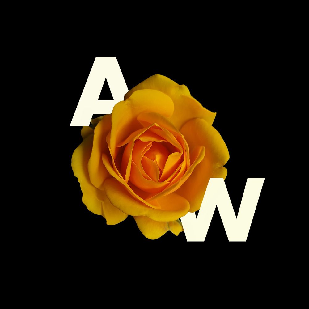 ARTWIFE
