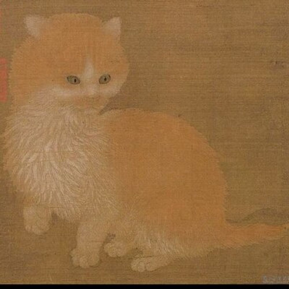 Wilson Chan