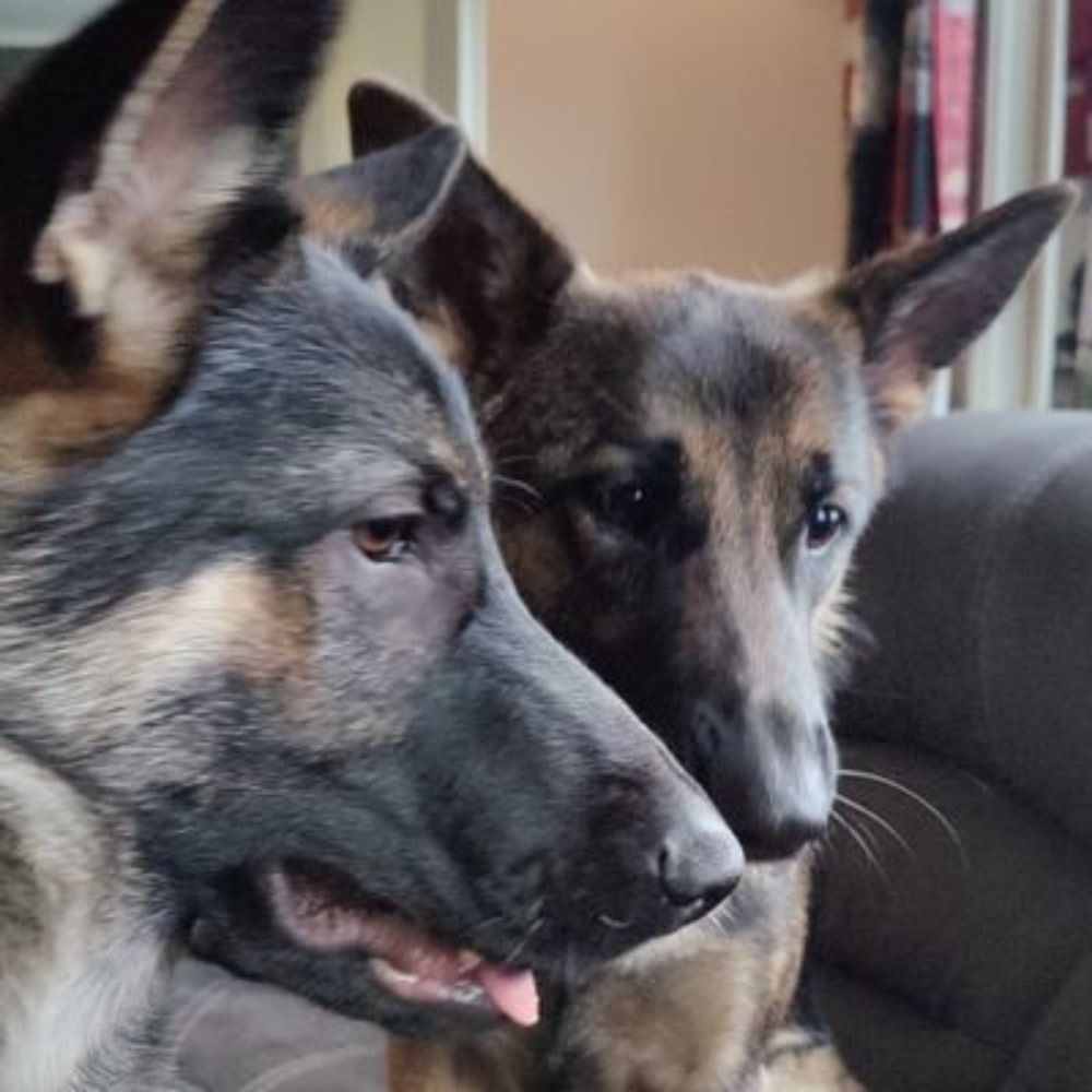 Remi&Sisu