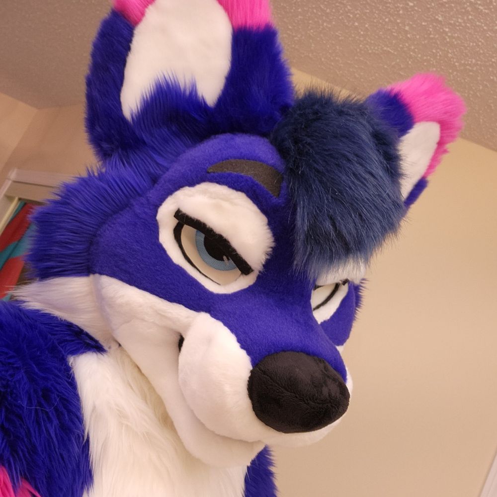BlueWolfo