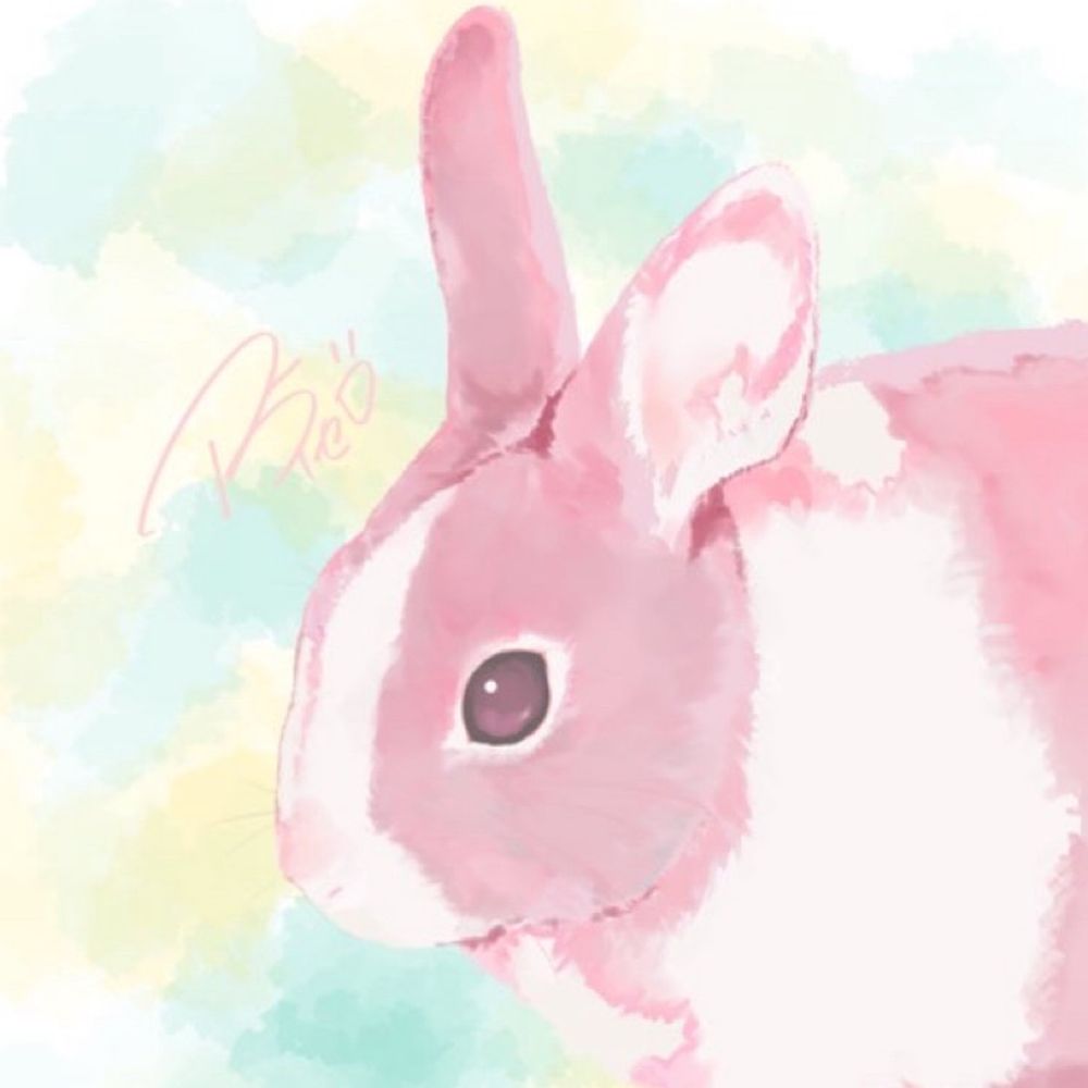 アライゼロ