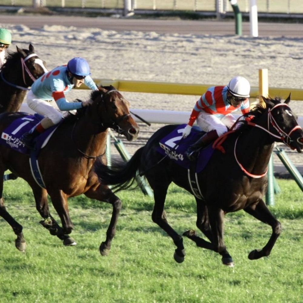 MIZUKI 競馬アナリスト