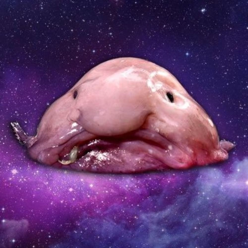 Snicklink