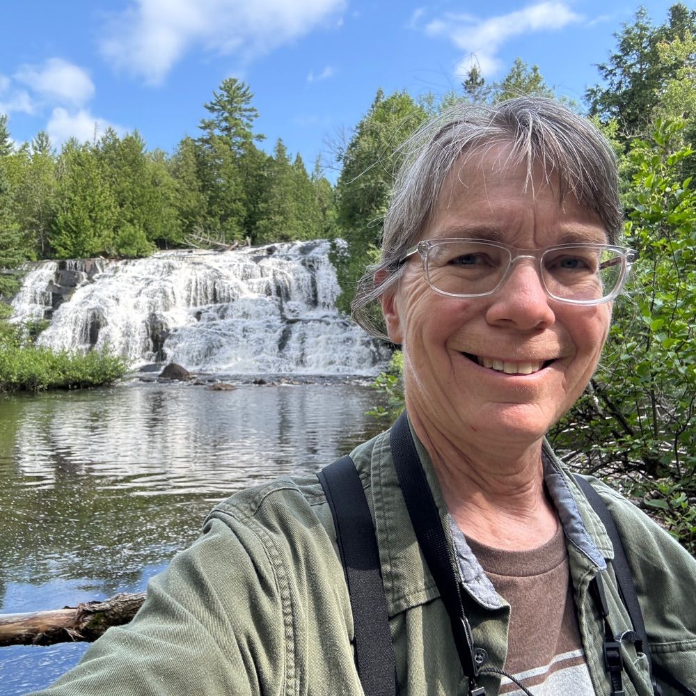 Susan Farrington