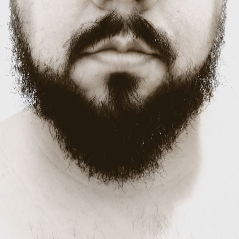 BeardedSir
