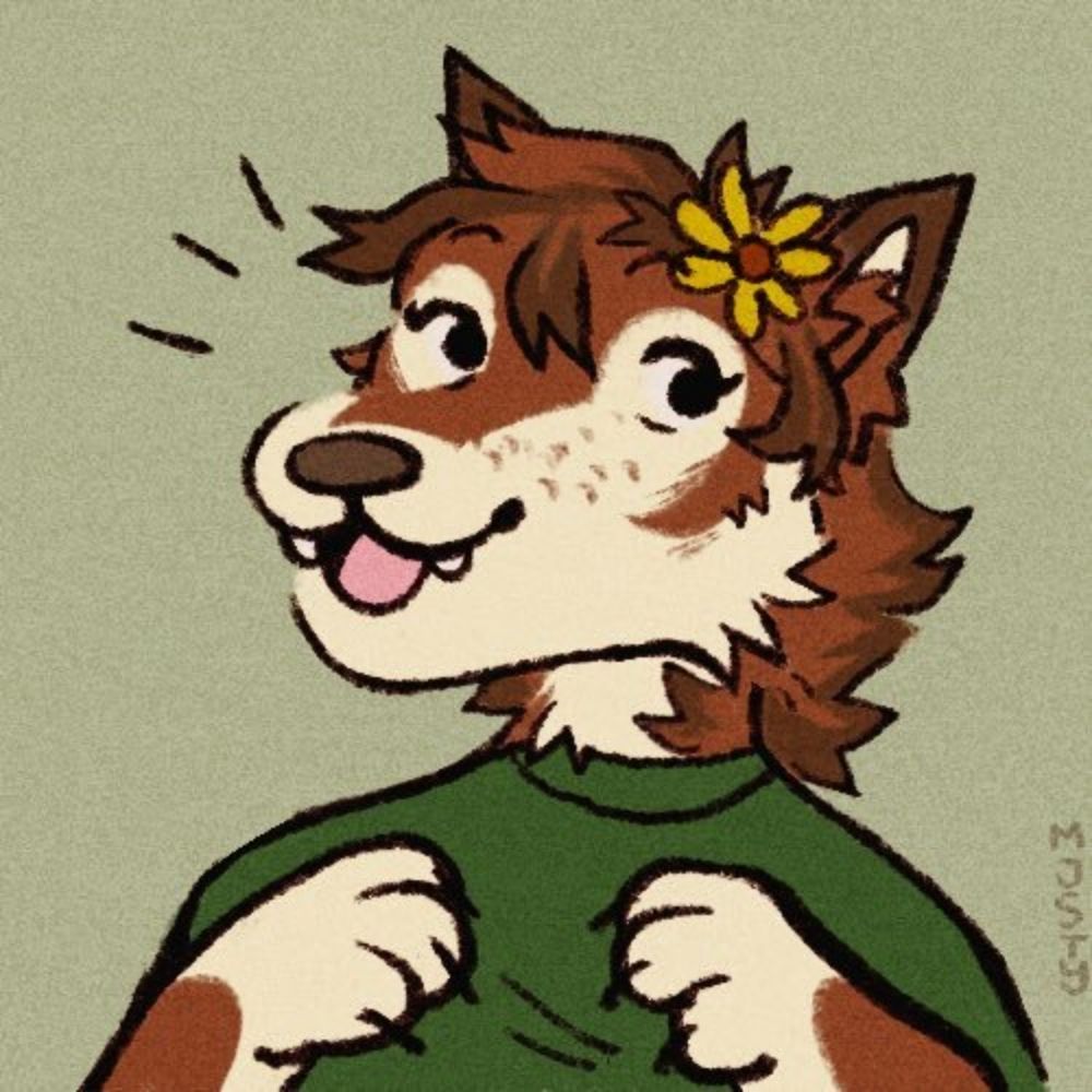 lumi b barkin