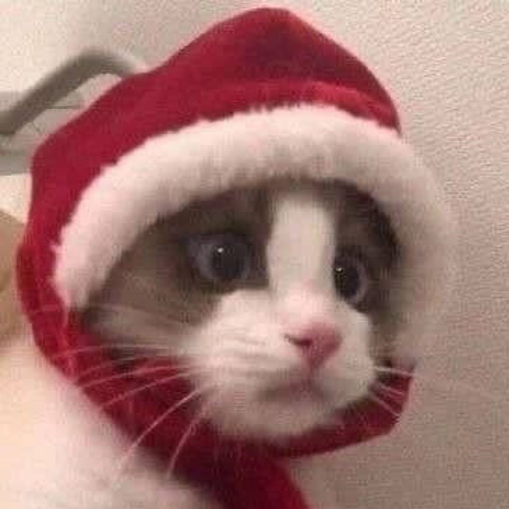 Kiki ☃️