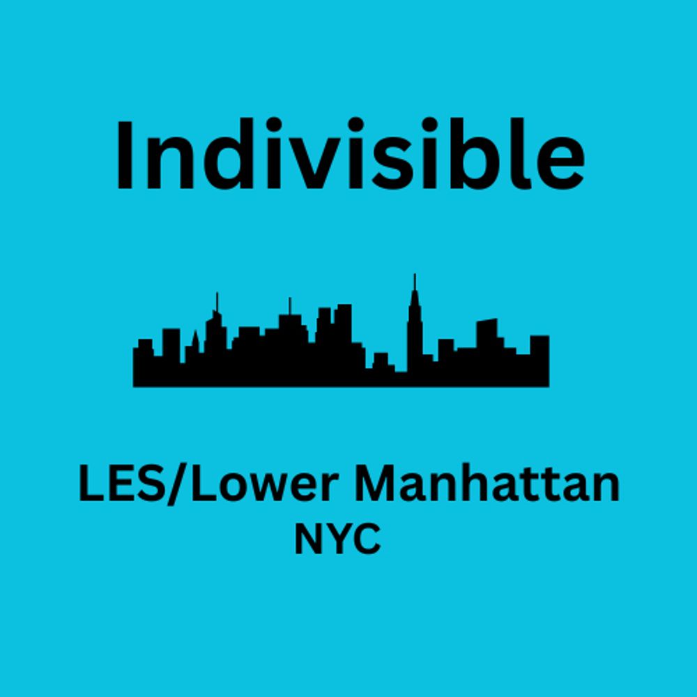 Indivisible LES/Lower Manhattan, NYC