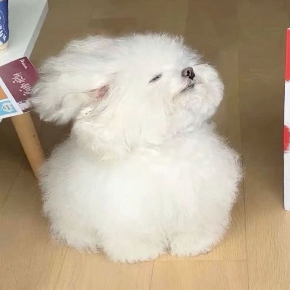 ☺️