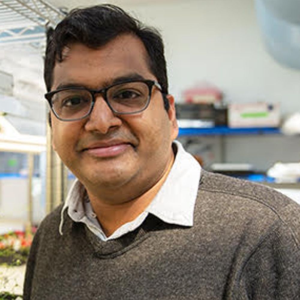 Satyaki PRV