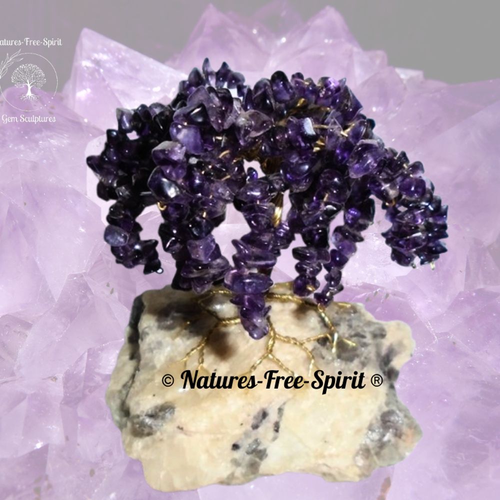 Natures-Free-Spirit  