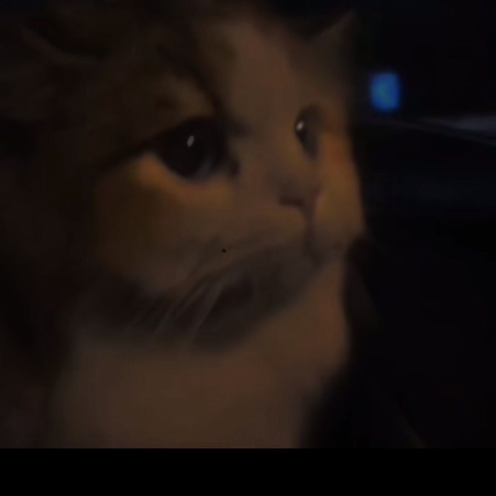 麻糬狼