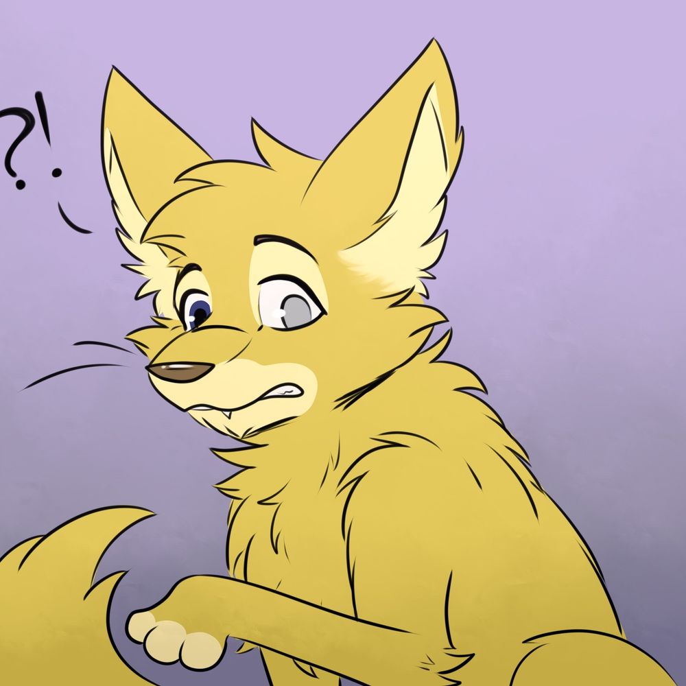 That golden cat 