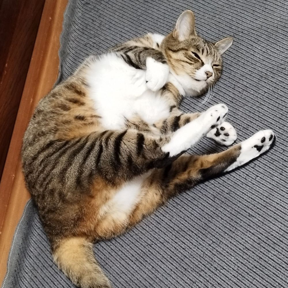 たけぼー