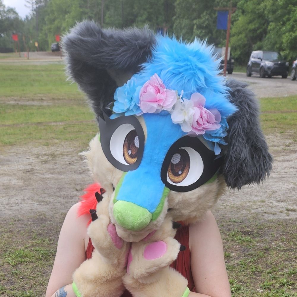 Sparkle the doggo