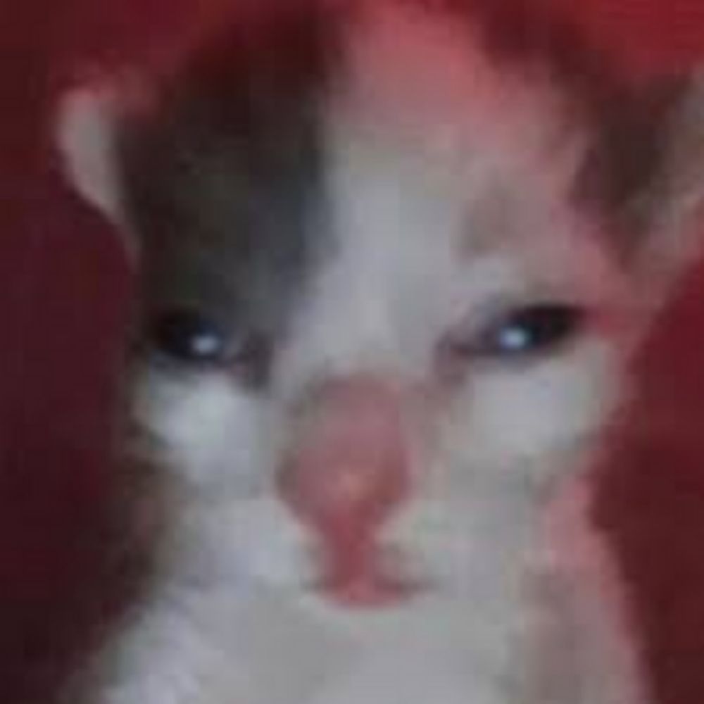 N0qlu