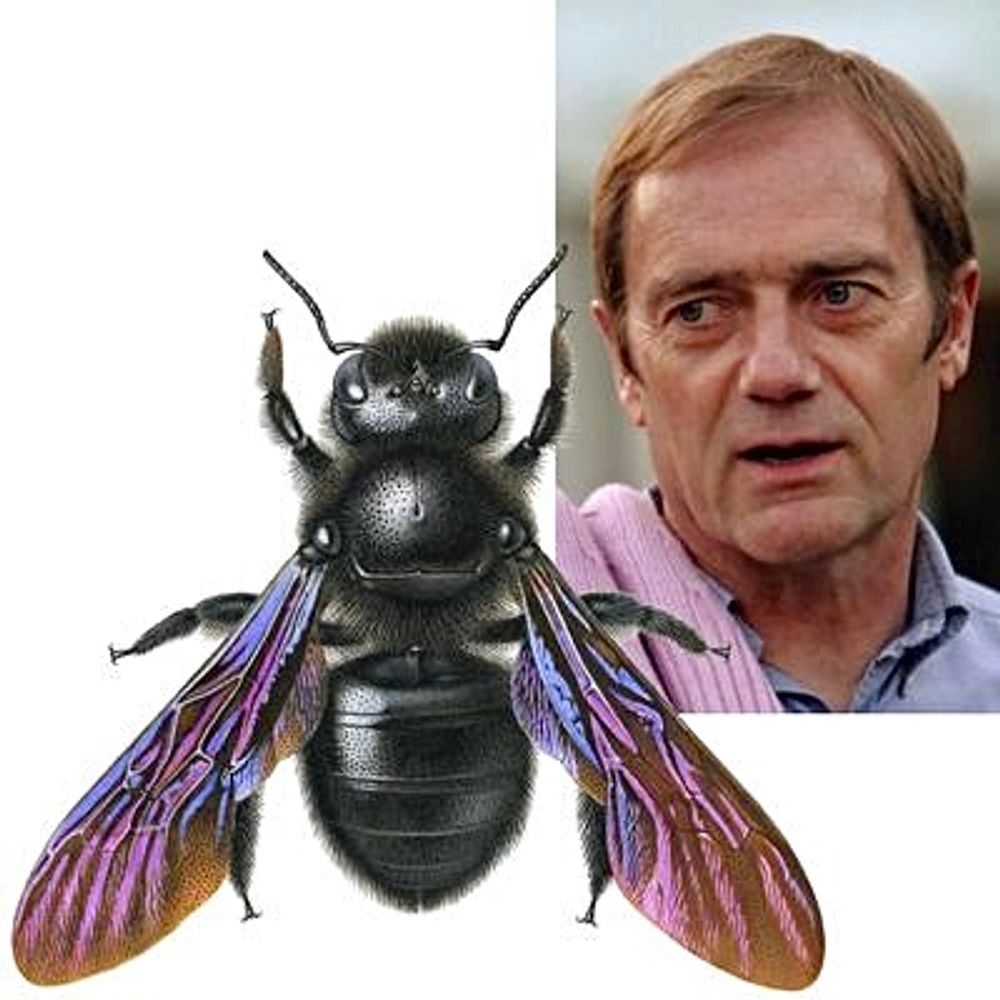 Richard Lewington