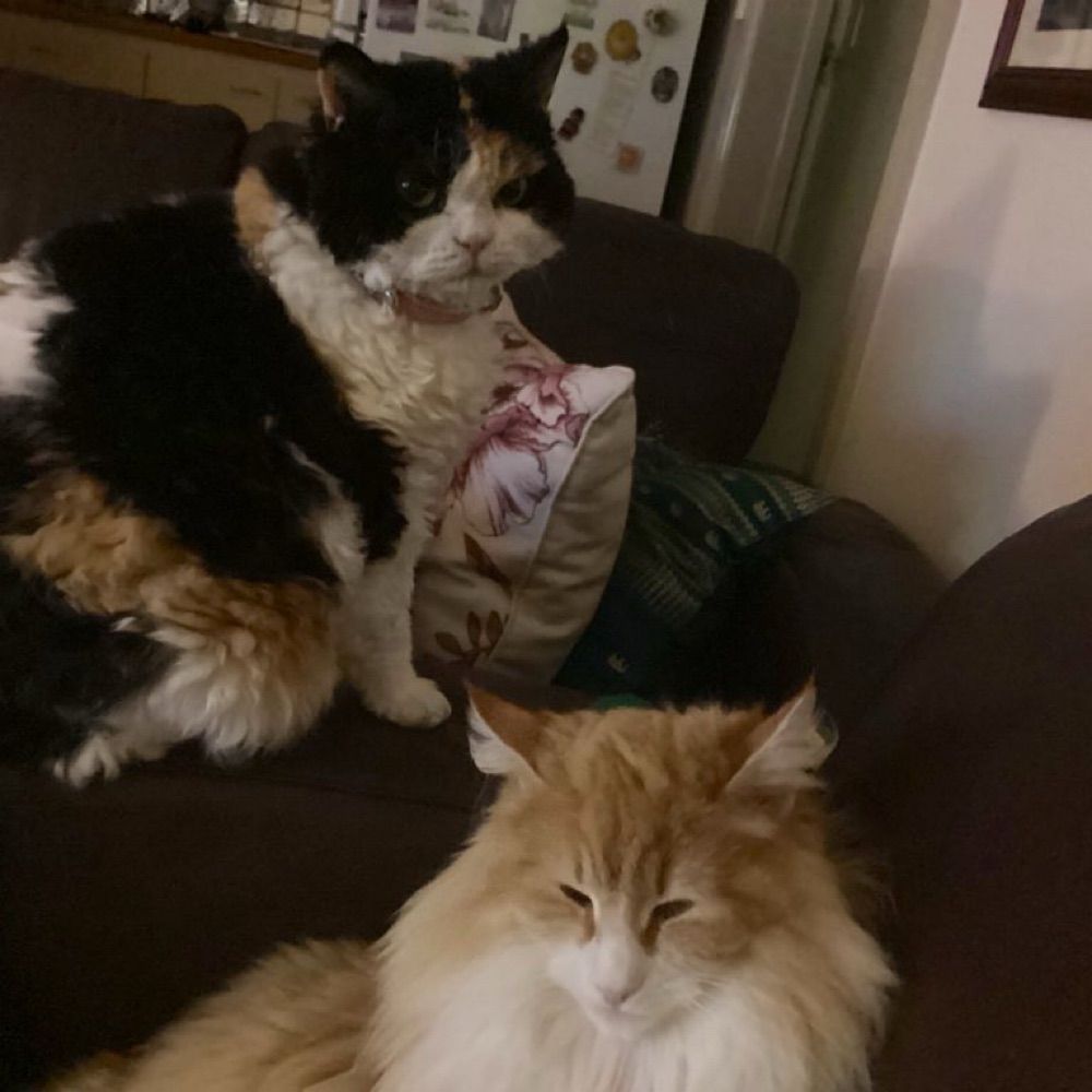 Shelby & Freda