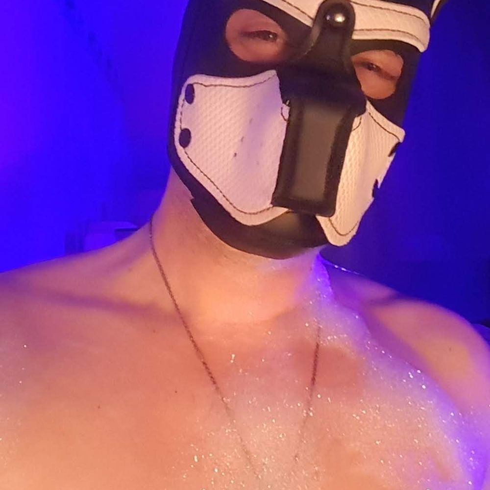 Anthonny.RD 🇫🇷  pup strayd kïnko