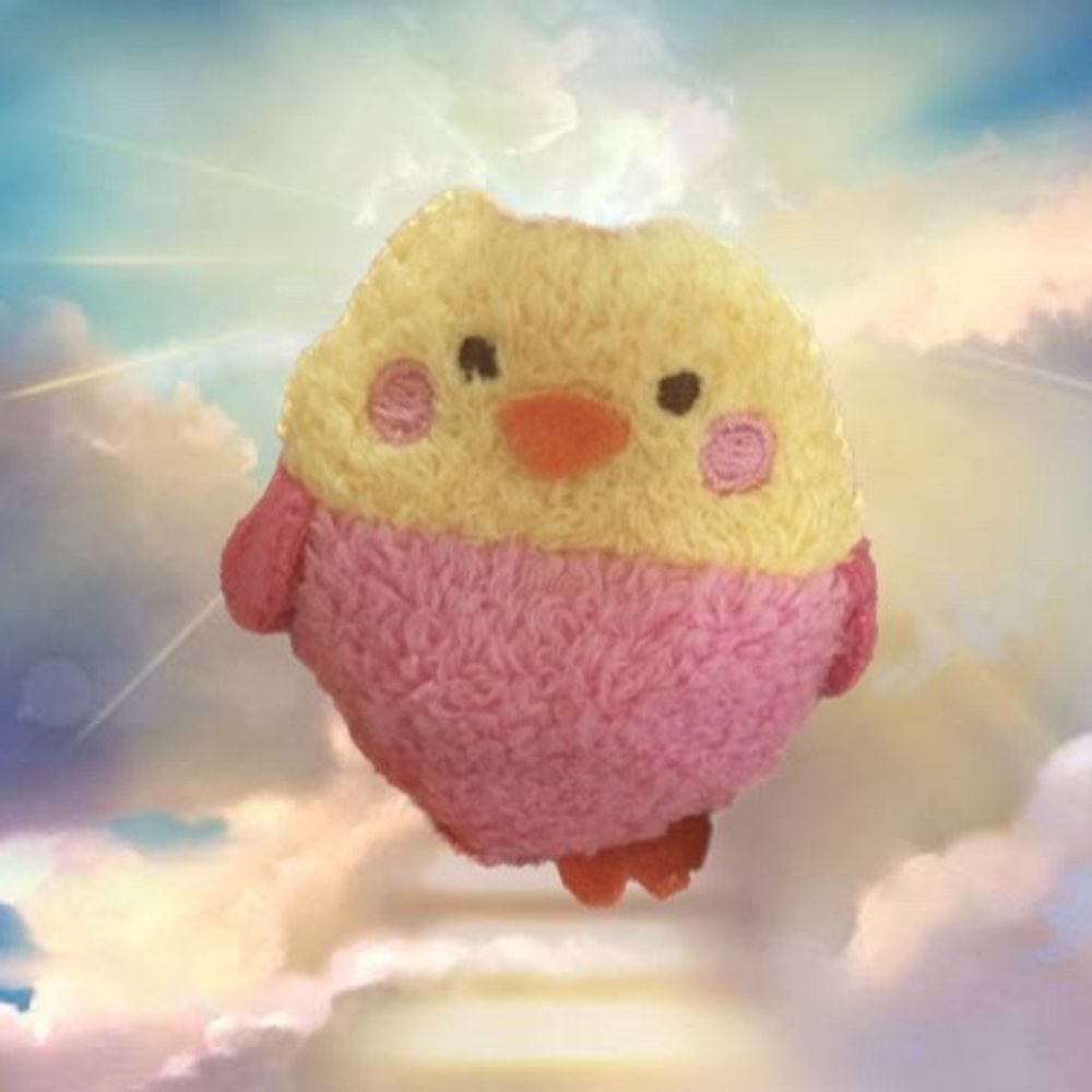ピー蔵