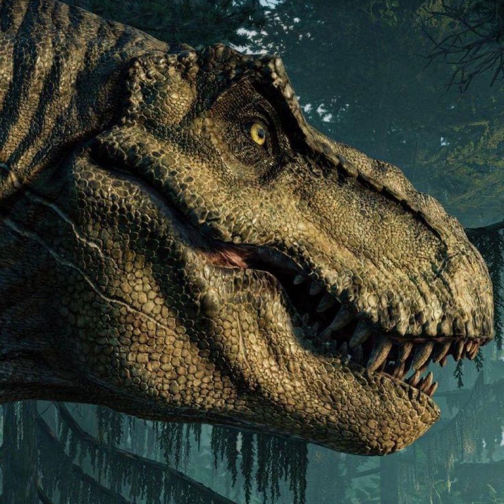 🦖Tyrannosaurus Queen Liz🦖