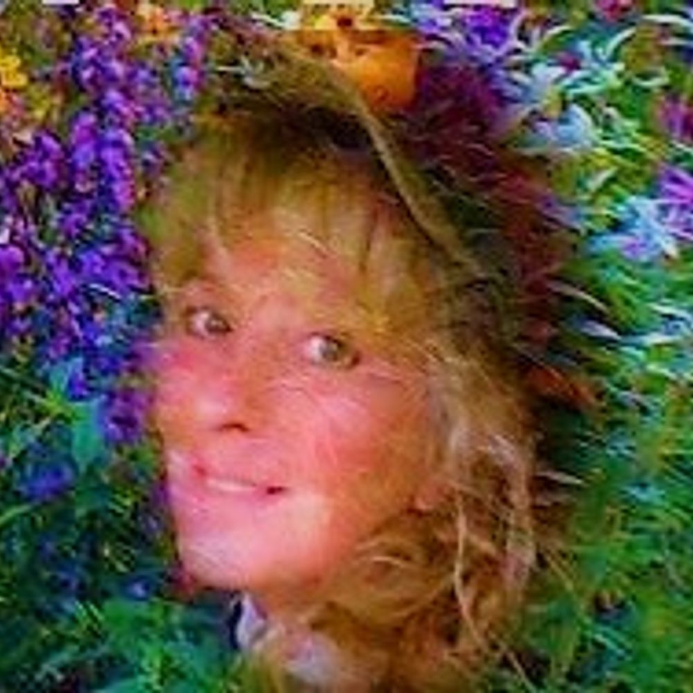 Profile picture wildthingsnursery.bsky.social