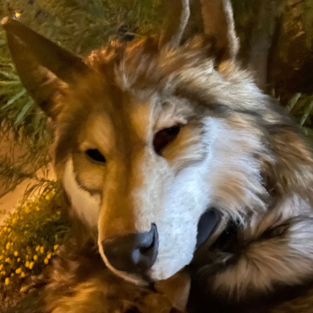 Myth Wolfe θΔ
