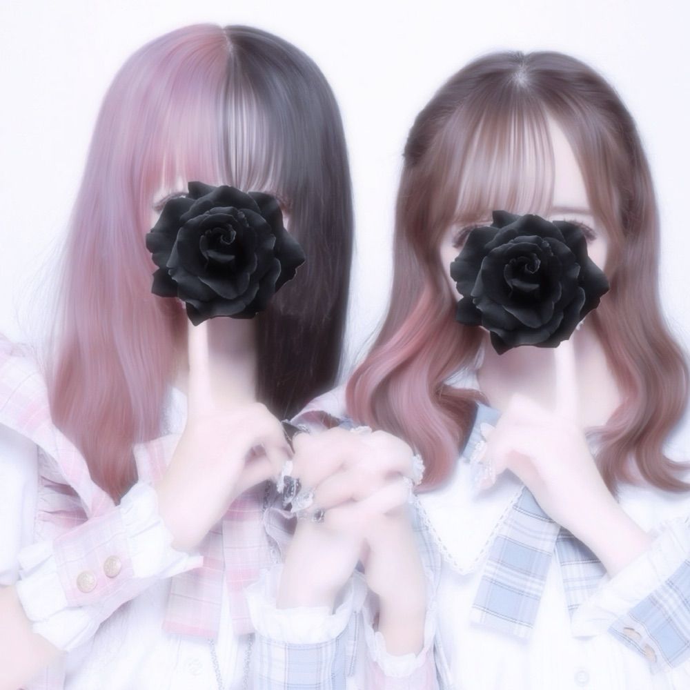 ぽめらにあん ꒦꒷