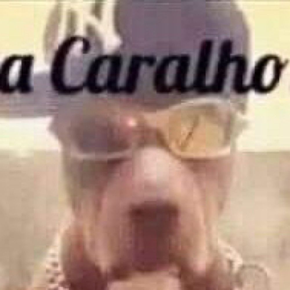 Rafão detona rabo