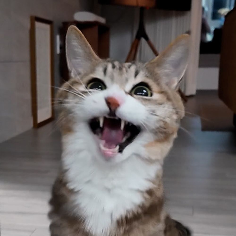 구름이