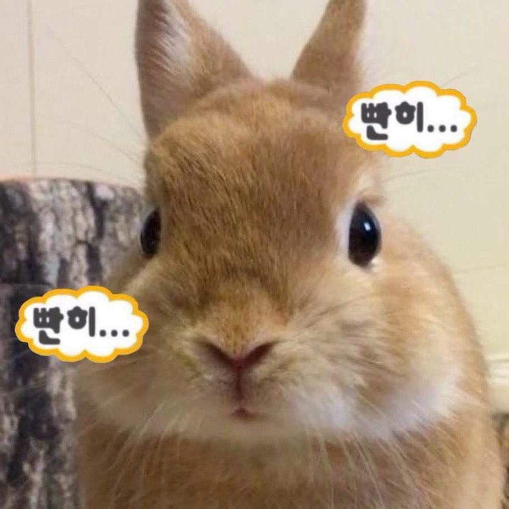 고깅