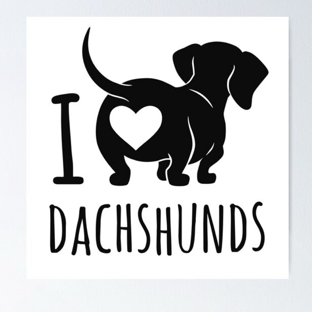 I ❤️ Dachshunds