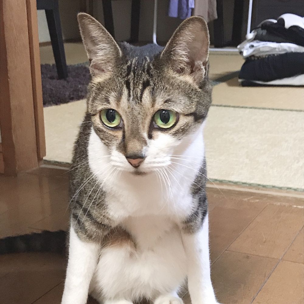 ミネ