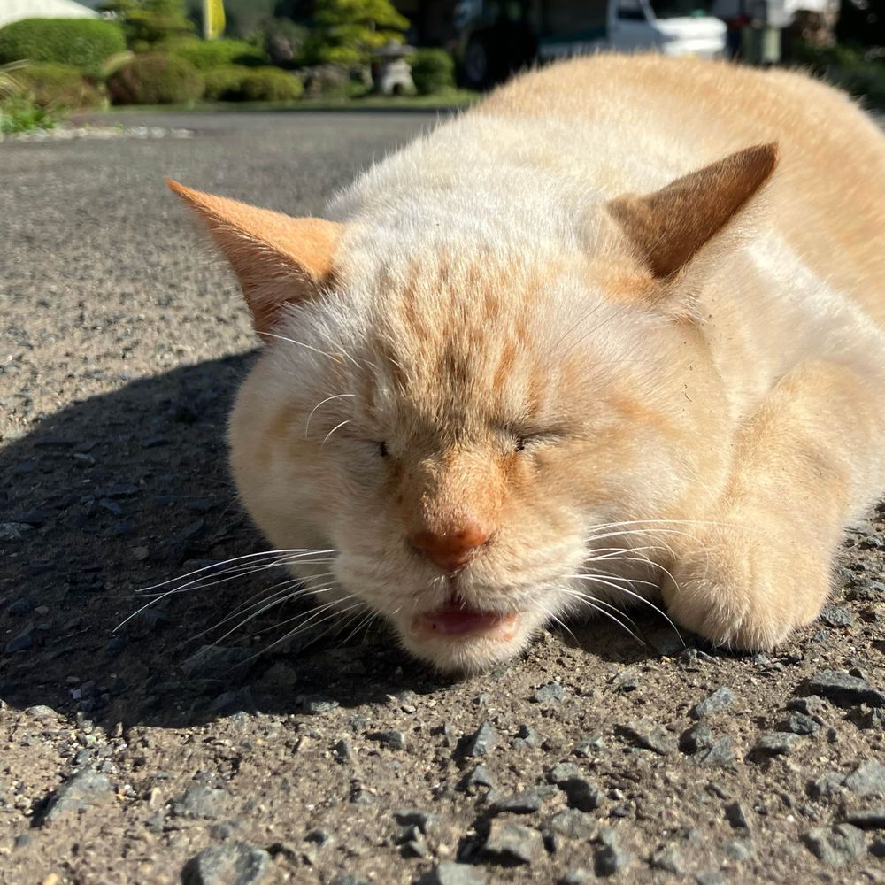 大槻竃