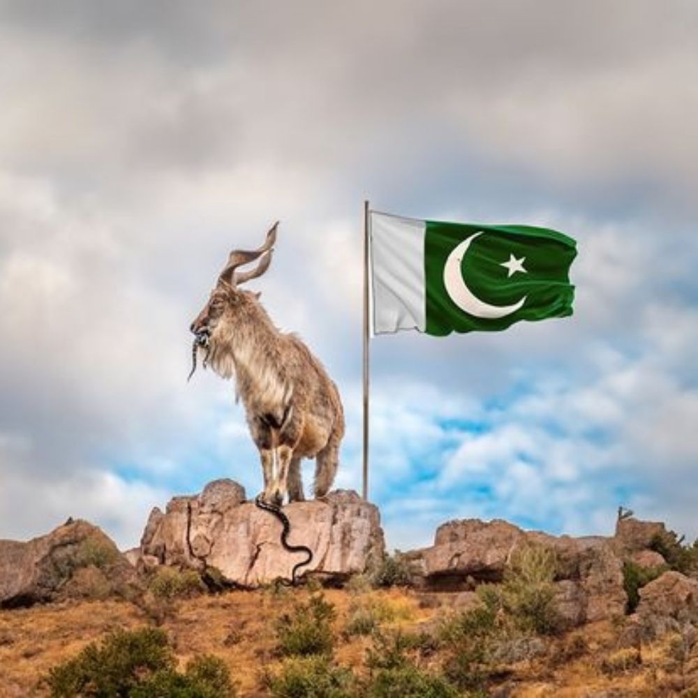 M. H. Malik