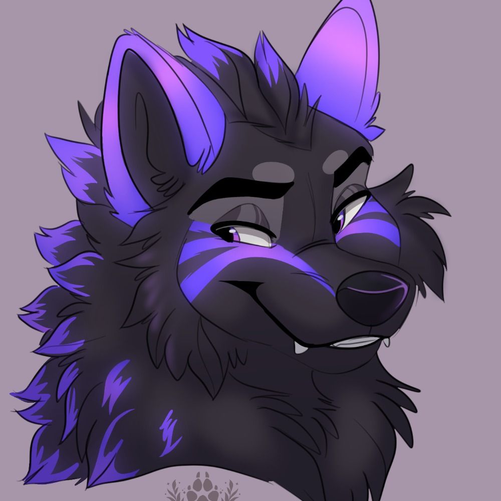 Awoo Cifer