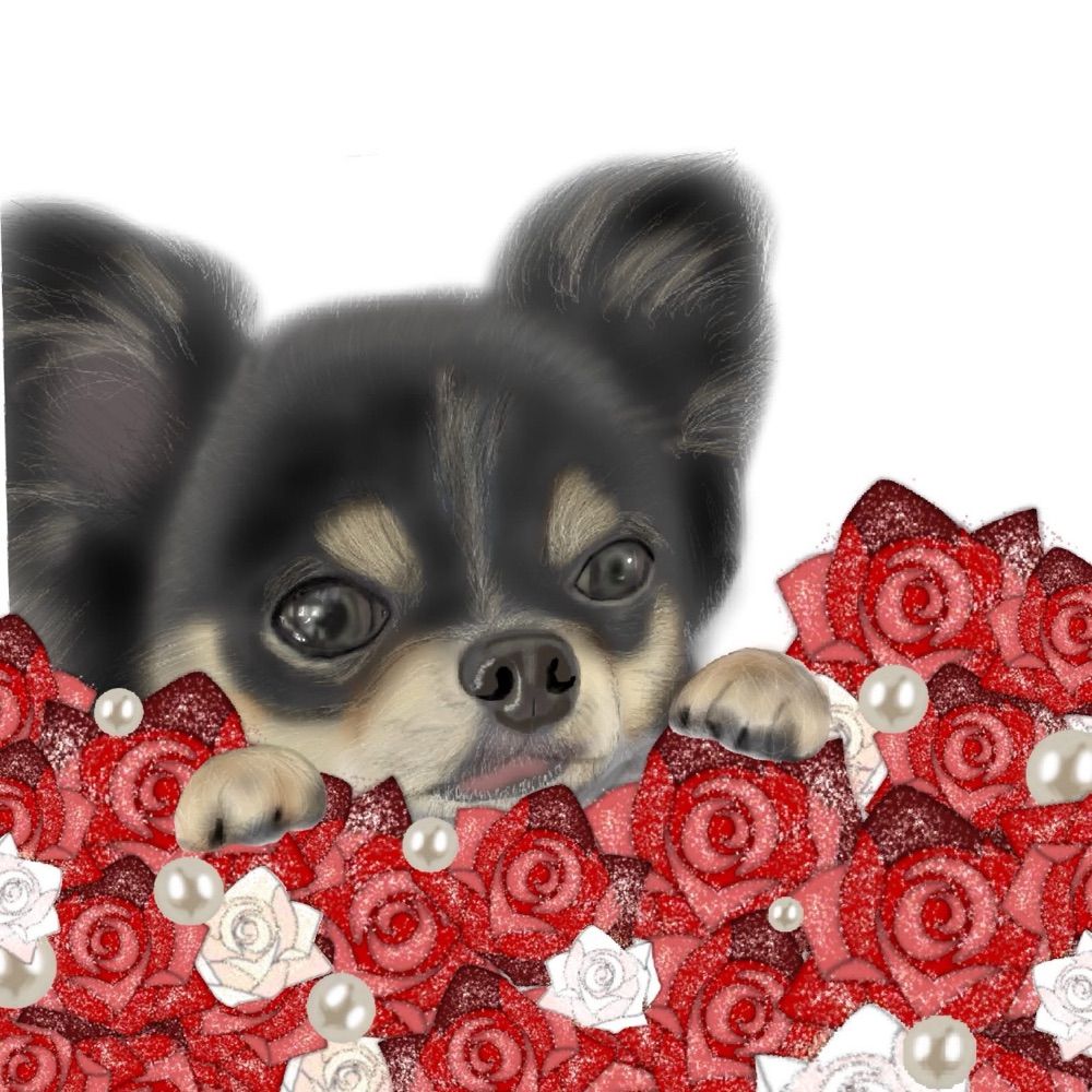 ここちー。| チワワ専門イラストレーター🐾