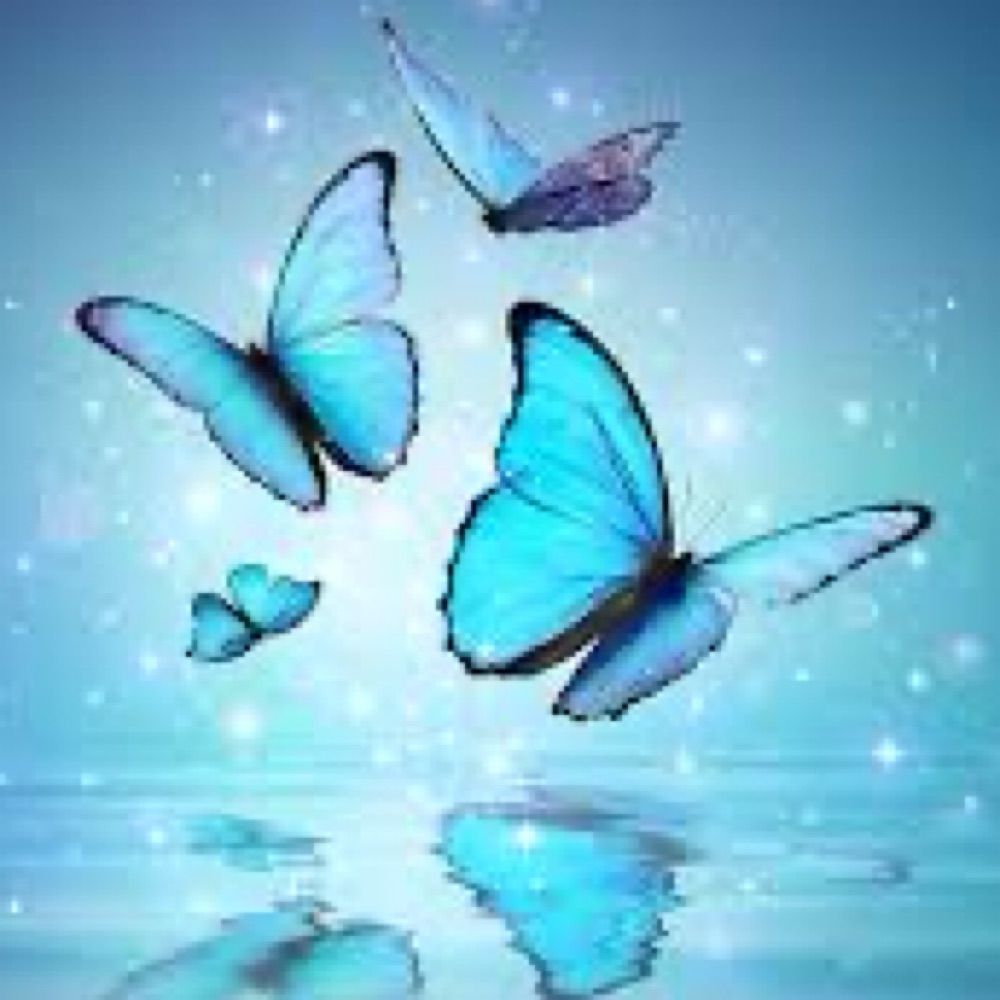 🦋🦋 BLUEYAMINA 🦋🦋