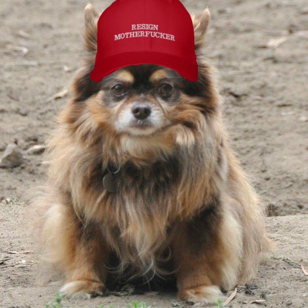 Little Mingo