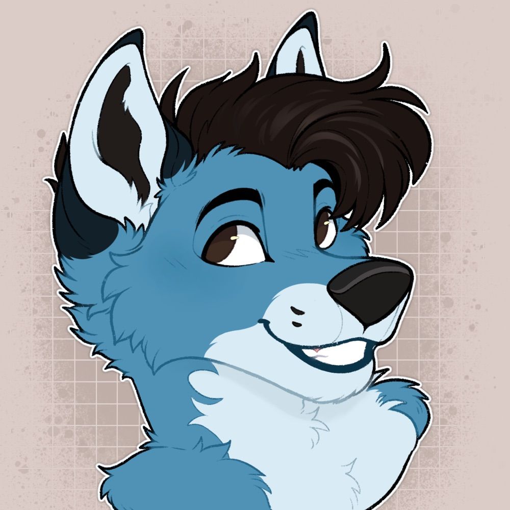 Felix Fox | Q-Fox