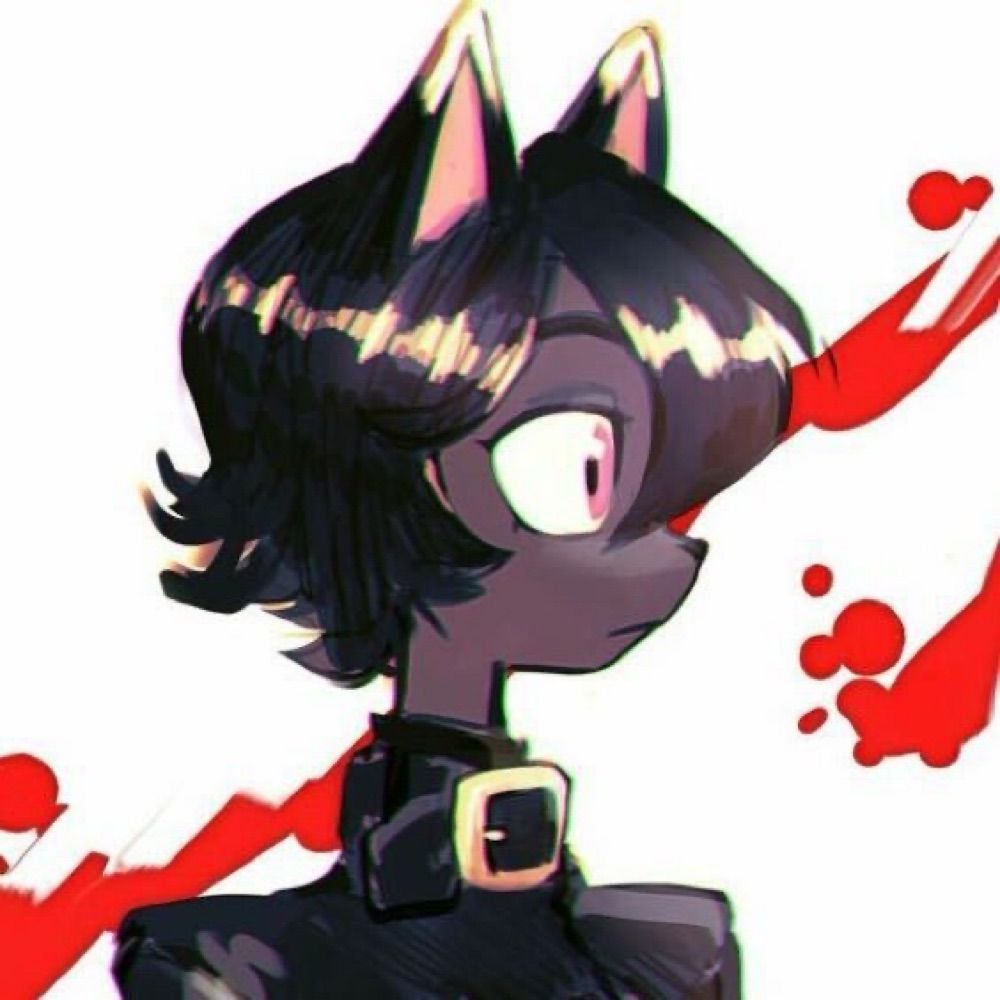 tako0oOo0oo